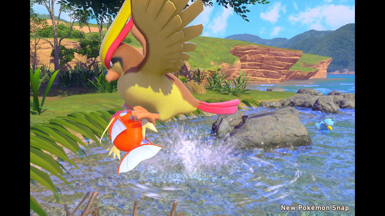 Pedgeot attacking a Magikarb